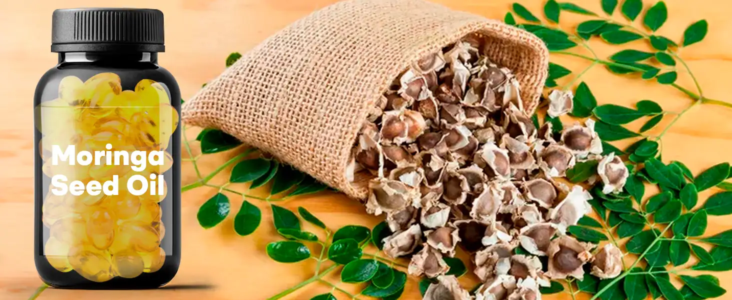 moringa seed oil