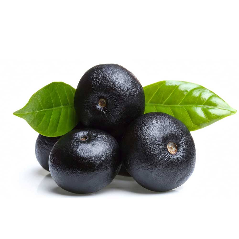 Açaí Berry Capsules | Antioxidant & Energy Boost | 100 Vegan Pills (500 mg) | Amazon Rainforest Sourced, Non-GMO — image 6