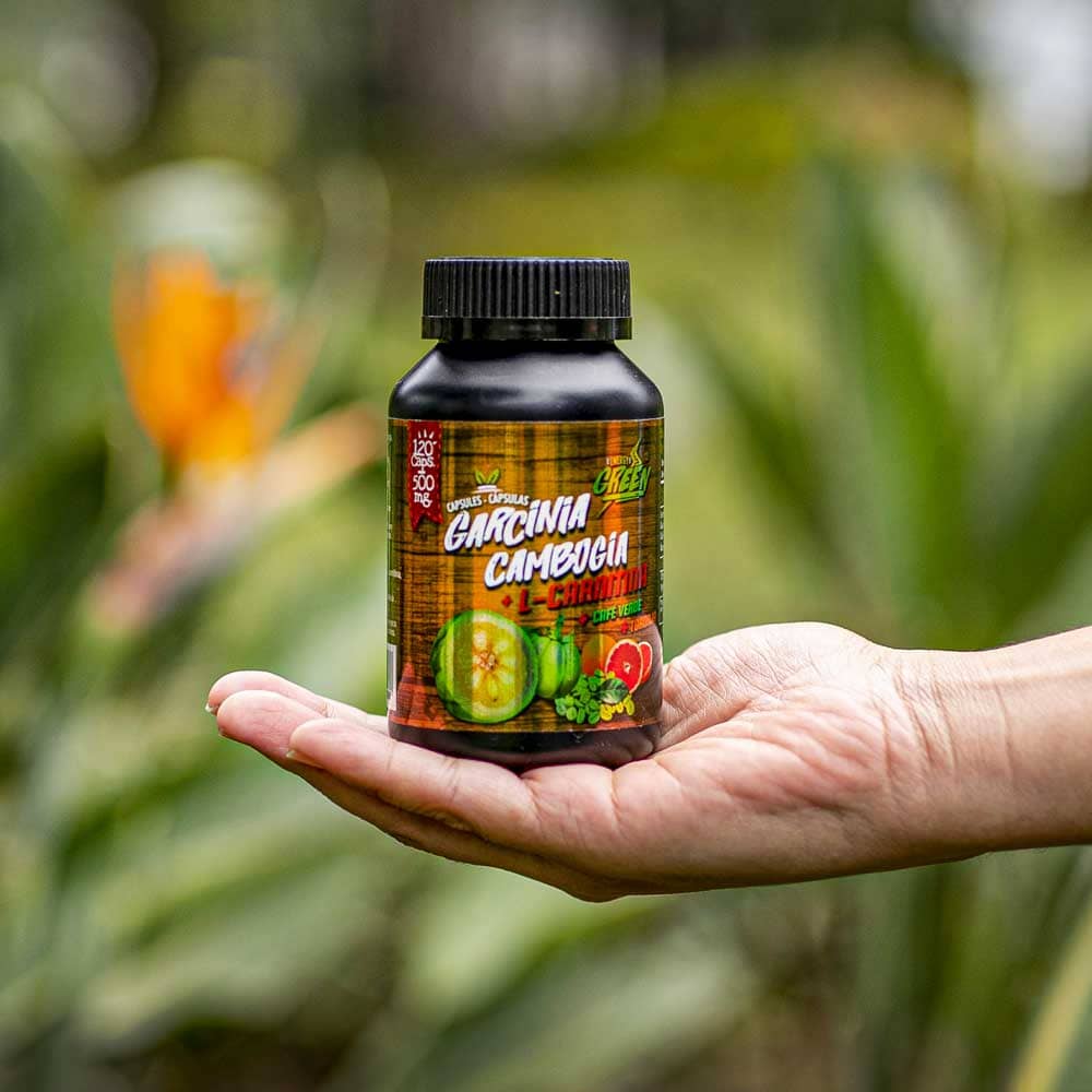 Garcinia Cambogia + L-Carnitine Capsules | Appetite & Fat Metabolism Support | 120 Pills (500 mg) | Vegan — image 4