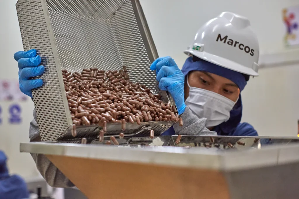 Close-up of a production worker pouring Huanarpo Macho capsules into a bottling machine hopper.