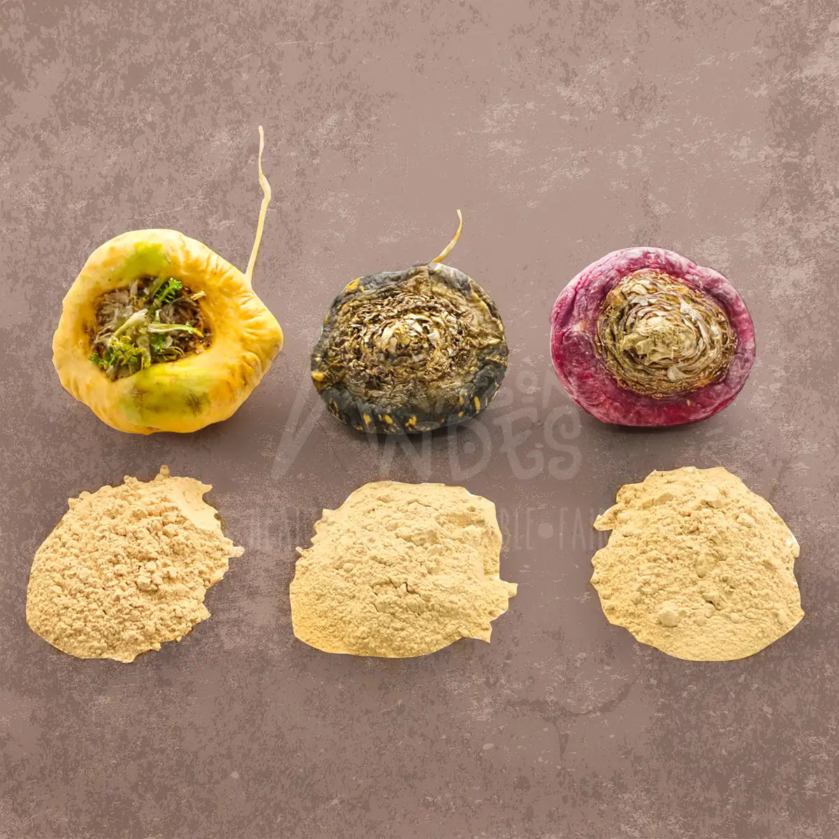 Black, Red & Yellow Maca: A B2B Chemotype Sourcing Guide